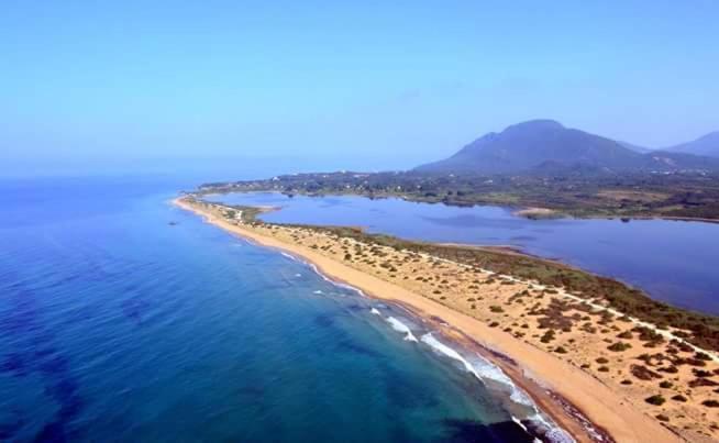Saia * Chalikounas